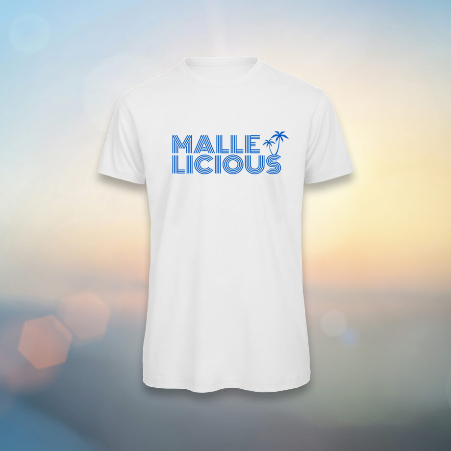 010_MALLESTYLE_Mann_V_Shirt_Weiss_Orange